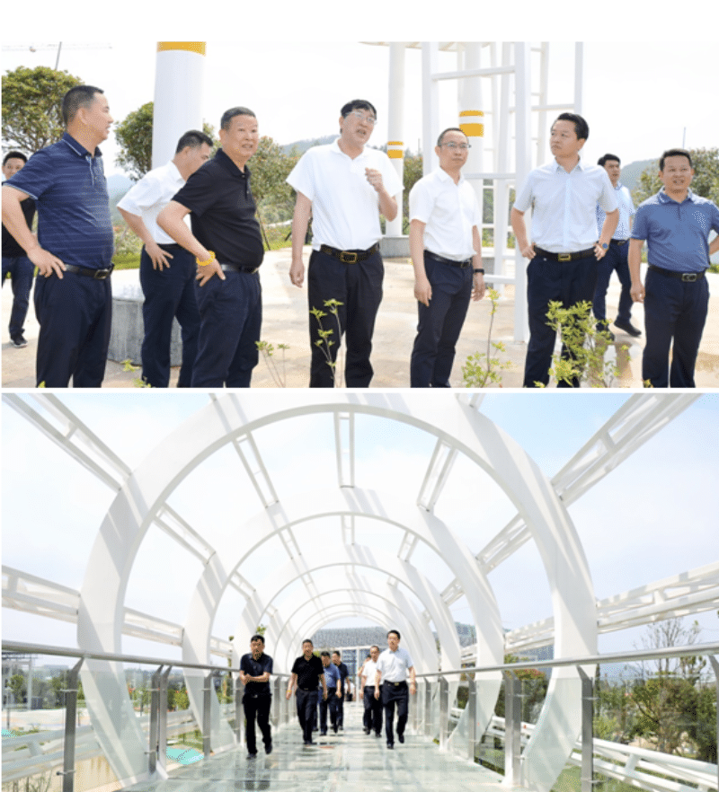 3377体育体育频道图片