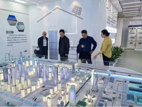 3377体育直播图片