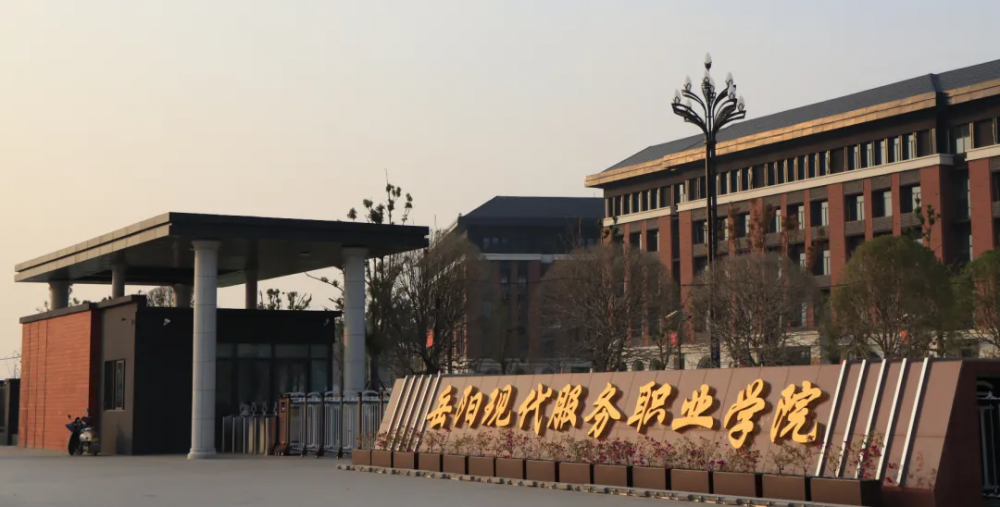 3377体育平台图片