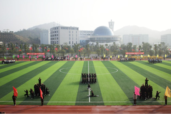 3377体育安全通道图片