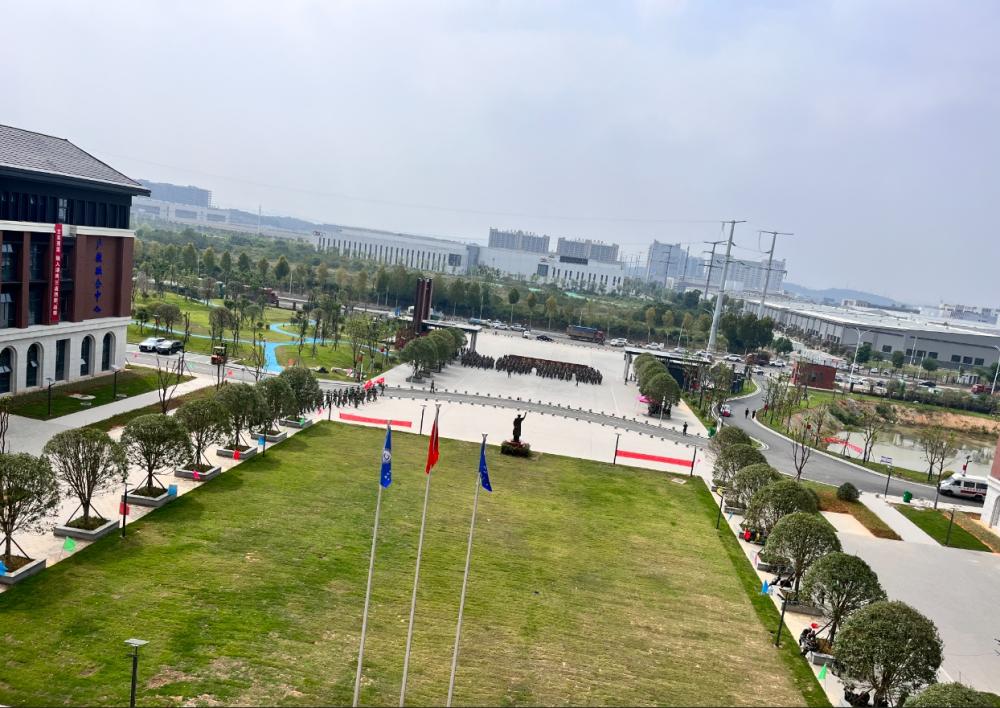 3377职业发展