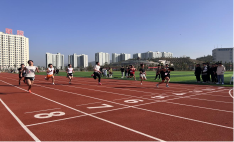 3377体育指定通道图片