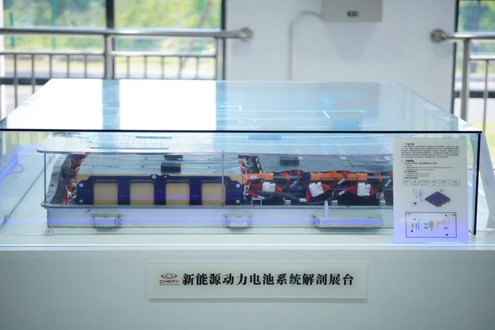 3377体育稳定线路