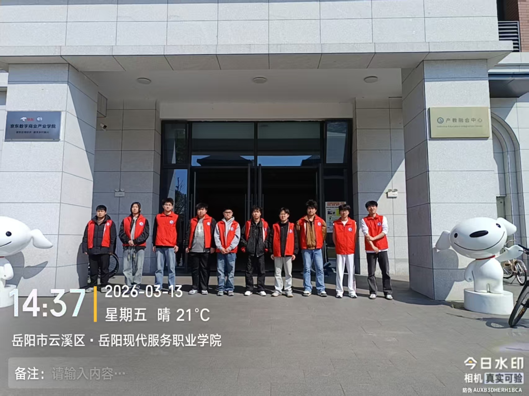 3377体育安全通道